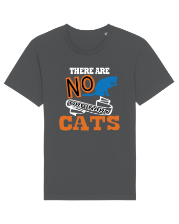 There Are No Ordinary Cats Anthracite