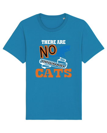 There Are No Ordinary Cats Azur