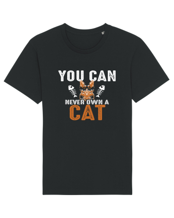 You Can Never Own A Cat Black