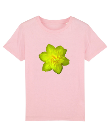 Narcisa galbena Cotton Pink