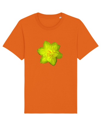 Narcisa galbena Bright Orange