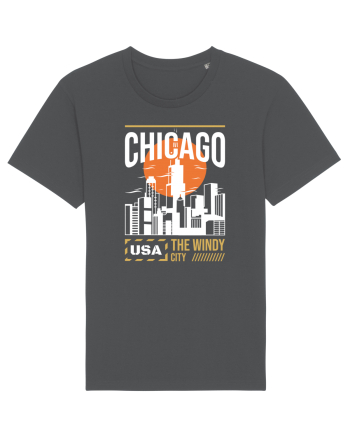 Chicago Anthracite