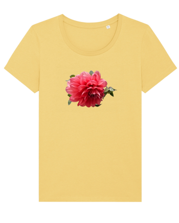 Dalia rosie Jojoba