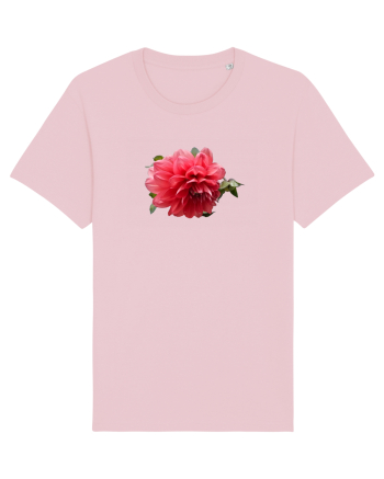 Dalia rosie Cotton Pink