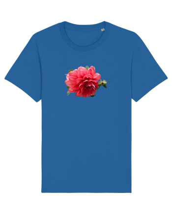 Dalia rosie Royal Blue