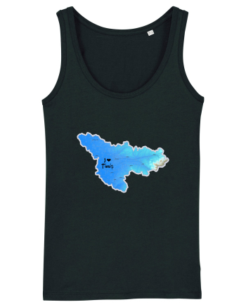 Timiș County Map Black