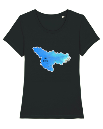 Timiș County Map Black