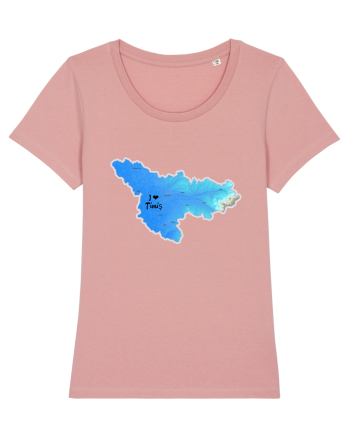 Timiș County Map Canyon Pink