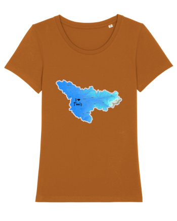 Timiș County Map Roasted Orange