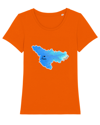 Timiș County Map Bright Orange