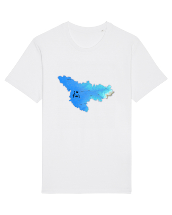 Timiș County Map White