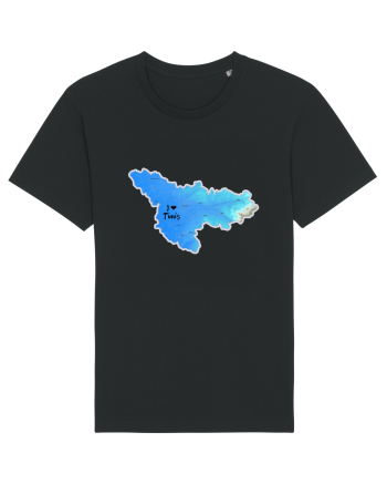 Timiș County Map Black