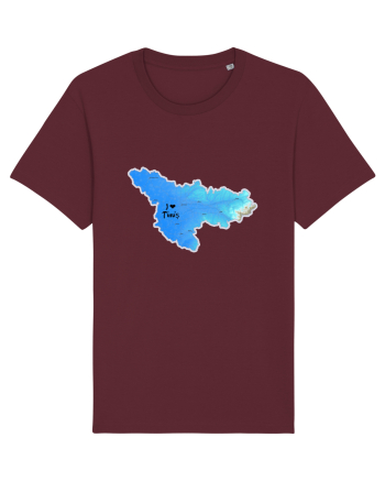 Timiș County Map Burgundy