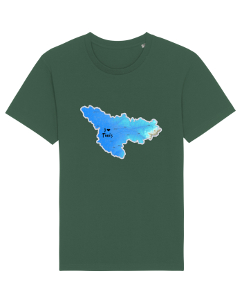 Timiș County Map Bottle Green
