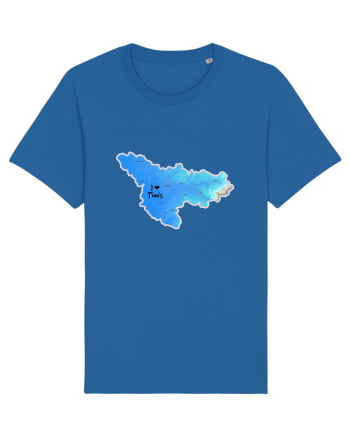 Timiș County Map Royal Blue