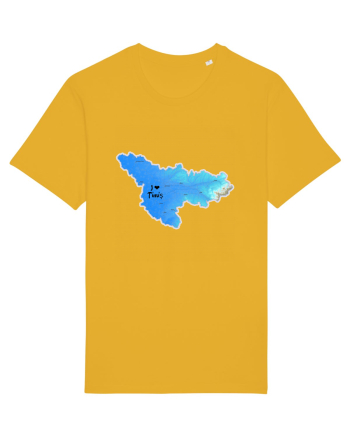 Timiș County Map Spectra Yellow