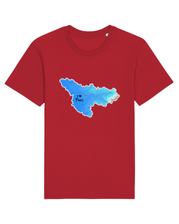 Timiș County Map Red
