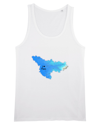 Timiș County Map White