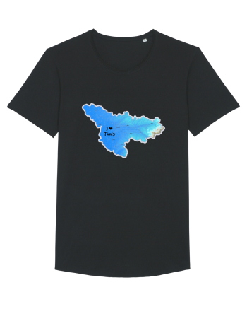 Timiș County Map Black