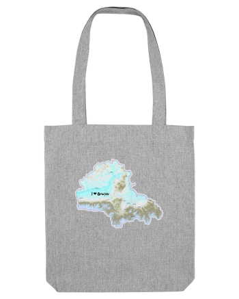 Brașov County Map Heather Grey