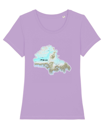 Brașov County Map Lavender Dawn