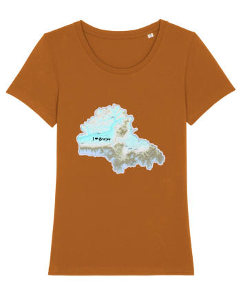Brașov County Map Roasted Orange