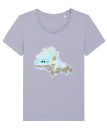 Brașov County Map Lavender