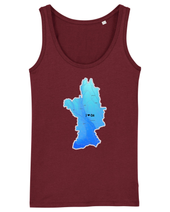 Olt County Map Burgundy