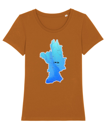 Olt County Map Roasted Orange
