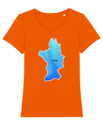 Olt County Map Bright Orange