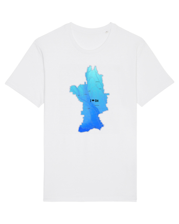 Olt County Map White
