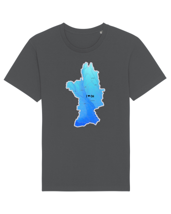Olt County Map Anthracite