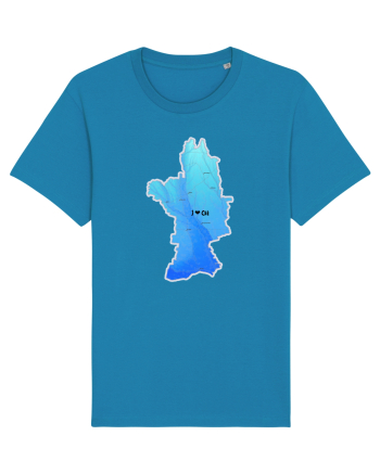 Olt County Map Azur