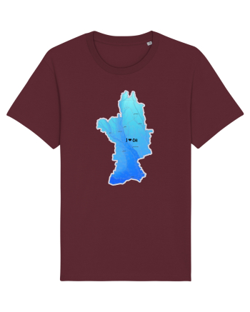 Olt County Map Burgundy
