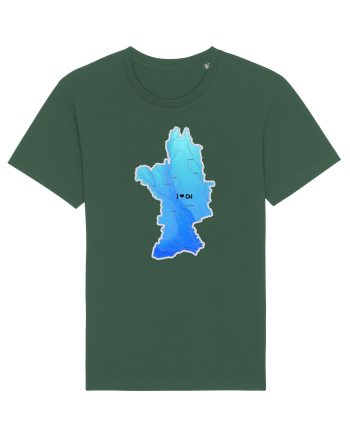 Olt County Map Bottle Green