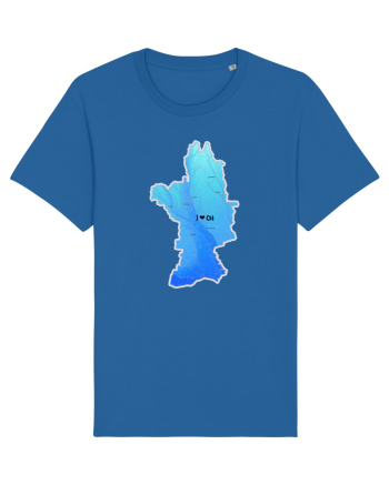 Olt County Map Royal Blue
