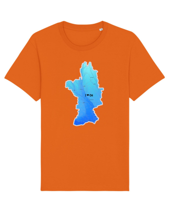 Olt County Map Bright Orange