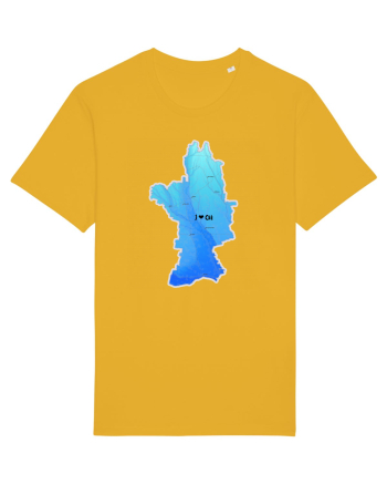 Olt County Map Spectra Yellow