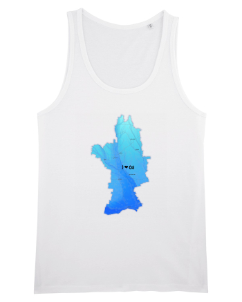 Olt County Map White