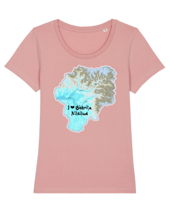 Bistrița Năsăud County Map Canyon Pink