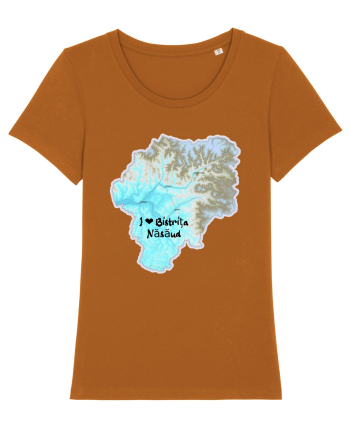 Bistrița Năsăud County Map Roasted Orange