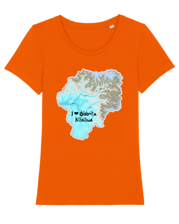 Bistrița Năsăud County Map Bright Orange