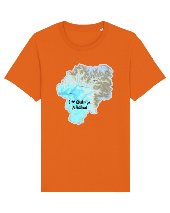 Bistrița Năsăud County Map Bright Orange