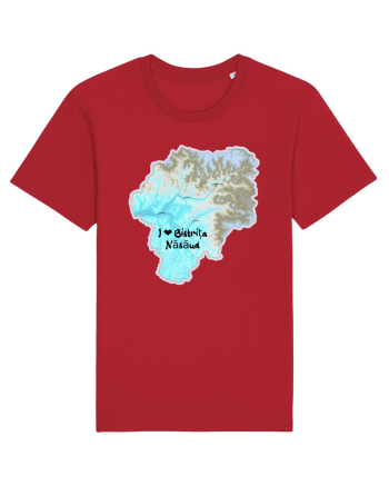 Bistrița Năsăud County Map Red