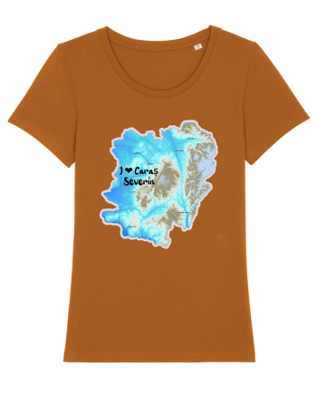 Caraș Severin County Map Roasted Orange