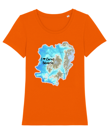 Caraș Severin County Map Bright Orange