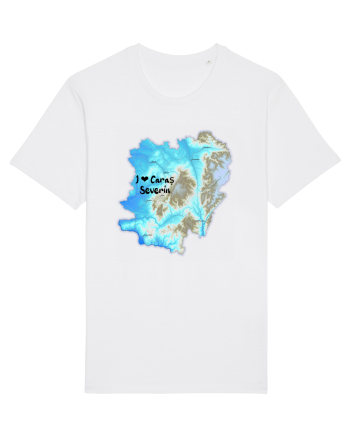 Caraș Severin County Map White