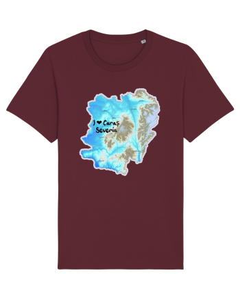 Caraș Severin County Map Burgundy
