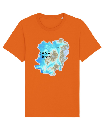 Caraș Severin County Map Bright Orange