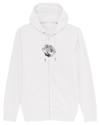 Tandafir alb  White